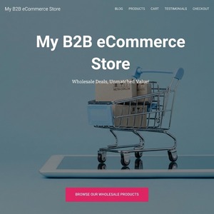 Soluciones Dinámicas de Optimización de Tiendas Online B2B para Mejorar el Rendimiento y la Rentabilidad del Comercio Electrónico Mayorista Empresarial - Product Image 6
