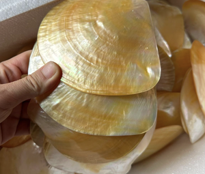 Vietnam Refined Mother of Pearl Plate Shell Nacre Material for Jewelry Holder Serving <b>Table</b> Decor <b>Display</b> - Product Image 4