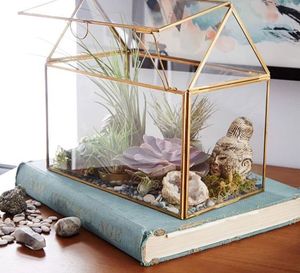 Terrarium en métal et verre personnalisé en or rose, jardinière moderne en verre pour plantes d'intérieur, succulentes, plantes aériennes et terrarium DIY - Product Image 5