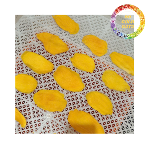 มะม่วงอบแห้งเนื้อนุ่ม ผลไม้เมืองร้อน ได้รับการรับรองมาตรฐาน HACCP สำหรับผู้ซื้อขายส่งทั่วโลก - Product Image 6