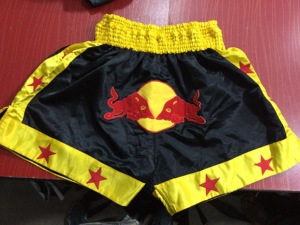 Pantalones Cortos de Muay Thai Personalizados - Nuevo Diseño 2025, Transpirables y Ligeros - Product Image 5