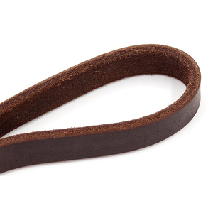 Correa de Cuero para Perro de Última Moda, Accesorios para Mascotas, Diseño Único, Correa de Cuero para Perro 2026, Correa de Cuero de Lujo a la Moda - Product Image 6