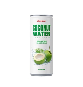 Datafa 320ml Agua de Coco con Sabor a Matcha, Bebida Refrescante de Puré Natural de Vietnam, Venta al por Mayor - Product Image 1