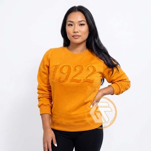 GREEK TREASURES Sudadera de Alta Calidad Personalizada para Mujer, Sigma Gamma Rho, Otoño/Invierno, Casual, Lisa, de Algodón y Felpa, 500g, Bordada - Product Image 3
