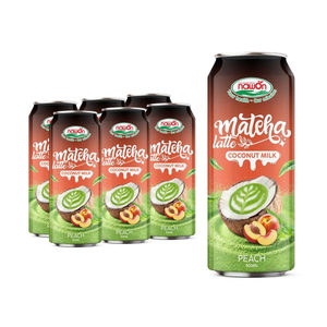 Purée de melon et lait de coco rafraîchissante en gros – Boissons crémeuses végétales au thé vert en bouteilles - Product Image 5