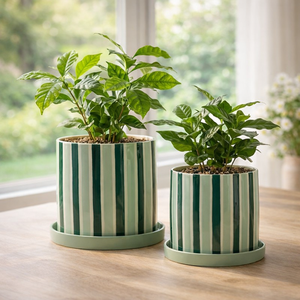 Maceta de Cerámica con Rayas Verdes y Bandeja, Acabado Brillante, Duradera, para Plantas de Interior, Decoración Moderna para el Hogar - Product Image 1