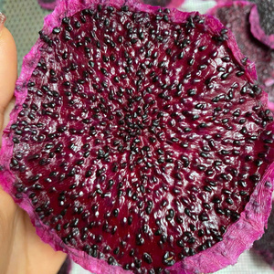 Fruits du dragon séchés tendres en gros – Mélange de pitaya blanc et rouge déshydraté |   100% Naturel |   Ventes en gros de collations aux fruits saines - Product Image 2