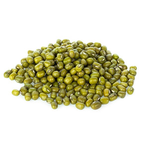 Exportateur de haricots mungo verts frais de la ferme pour les importateurs, les usines alimentaires et les distributeurs de produits agricoles - Product Image 6