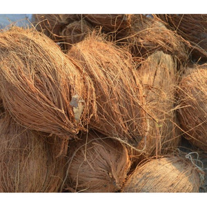 Fibres de noix de coco écologiques et durables en vrac à vendre - Product Image 5