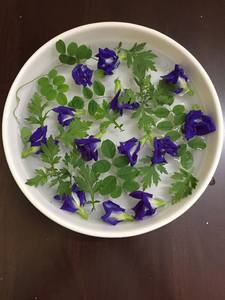 Fleurs de pois papillon séchées sélectionnées, pétales bleus naturels pour boissons, artisanat, mélange de thé, vente en gros, en vrac, source Vietnam - Product Image 5