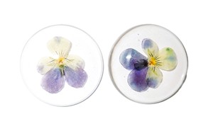 Cabujón de Plástico con Espécimen Real de Heartsease, Redondo, 38x38 mm, Base Plana Transparente, para Manualidades y Joyería - Product Image 3