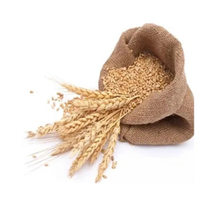 Servicio OEM, Listo para Enviar, Granos de Trigo Blando Premium, Venta al por Mayor, Grado Alimenticio, Suministro a Granel Más Vendido - Product Image 5