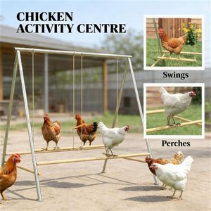 Set di Accessori in Argento per Pollaio da Giardino, Essenziali per Allevamento di Polli - Product Image 2