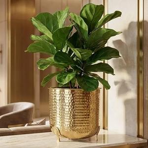 Support de plantes en métal d'intérieur avec cadre en fer décoratif, porte-pot de fleurs d'angle pour la décoration de salon et de la maison - Product Image 3