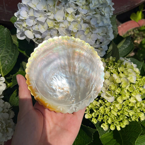 Plato de Mosaico de Concha de Nácar Premium para Presentación de Alta Cocina - Product Image 1