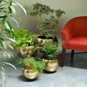 New Fashion Iron Powder Coated <b>Planter</b> Large Floor Vase <b>Tall</b> Modern Eco-Friendly Durable Lightweight Outdoor Wide Mouth Wedding - Product Image 4