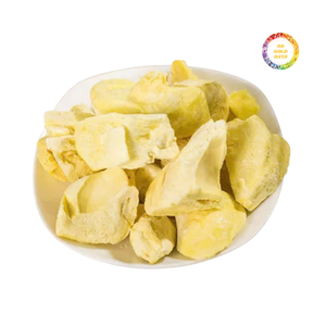 Morceaux de mangue lyophilisés de haute qualité avec couleur et saveur naturelles, idéaux pour une consommation directe et diverses formulations alimentaires - Product Image 3