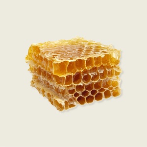 Panal de Miel de Abeja Premium, Miel Cruda Fresca, Suministro a Granel desde Vietnam - Product Image 1