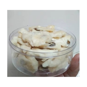 ¡OFERTA ESPECIAL! Guanábana Semisecada: Ingrediente Limpio para Hornear, Delicioso Snack Nocturno, Fruta Masticable Segura y Nutritiva para Exportación Global - Product Image 1