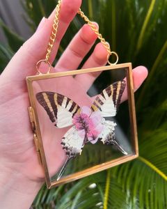 Wholesale Luxury Brass Glass Hanging Photo <b>Frame</b> <b>Gold</b> Metal Herbarium Specimen <b>Frame</b> Square Wall Decor Picture <b>Frame</b> Home <b>Frames</b> - Product Image 1