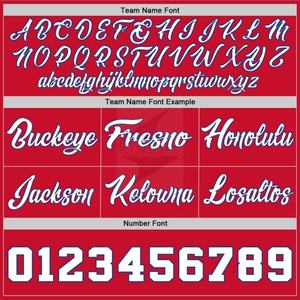 Pantalones Cortos de Baloncesto Transpirables de Talla Grande Unisex, con Cremallera, Bordados, de Malla de Poliéster, Estilo Retro, con Logotipo Personalizado - Product Image 6