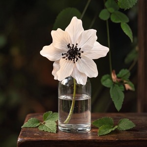 Premium White Iceland Poppy Sola Wood Flowers Sustainable Craft Handmade 8-8.5cm Sesbania <b>Reed</b> Home Fragrance Model 001 TH VADEE - Product Image 4