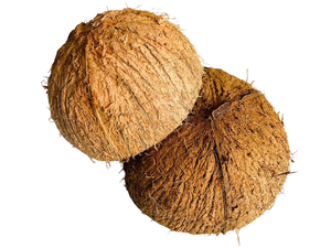 Eco2go Personalize Coconut <b>Bowls</b>, Serving Coconut Shell <b>Bowls</b>, <b>Cereal</b> serving Coconut <b>bowl</b>, <b>Cereal</b> <b>bowl</b> Dinner - Product Image 1
