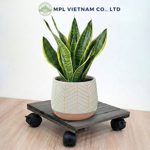 Soporte Rodante Cuadrado de Lujo para Plantas de Madera de Acacia con Ruedas de 360°, Ecológico y Duradero, Capacidad de 120 kg, para Uso en Hogar, Hotel y Jardín - Product Image 4