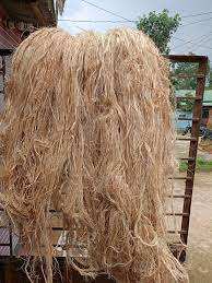 Matériau en Fibre de Banane Pure pour le Renforcement de Meubles, les Métiers à Tisser, les Feuilles d'Emballage et les Industries d'Exportation - Product Image 4