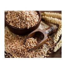 Venta al por Mayor de Granos de Trigo Blando de Primera Calidad, Grado Alimenticio, Listos para Enviar, el Mejor Stock para Exportación - Product Image 4
