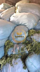 Vente en gros au Viet Nam d'algues séchées grillées (Laver verte Aonori Ulva Lactuca) flocons de laitue de mer séchée en poudre alimentation de haute qualité - Product Image 5