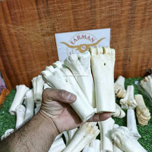 Hueso de pierna de búfalo blanco natural en forma de medio tubo para artesanías vikingas y tradicionales a precio económico. - Product Image 3