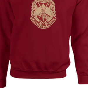 Sudadera Personalizada con el Escudo DST para Mujer, 100% Algodón, Bordada, Cuello Redondo, con Letras Griegas y Diseño Forrado - Product Image 5