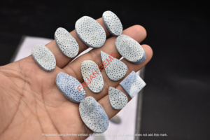 Pierres précieuses de corail bleu naturel de haute qualité, pierres brutes pour la fabrication de bijoux, cabochons, prix de gros FAIJAN GEMS Rajasthan Third - Product Image 3