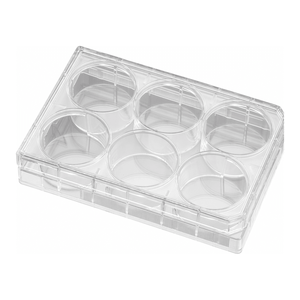 Placas de 6 Pocillos con BioCoat de Poli-L-Lisina de Corning para Cultivo Celular y Neuronal - Product Image 2