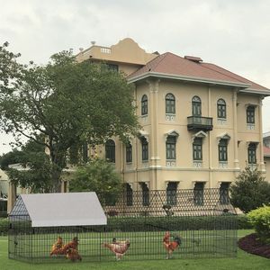 Pollaio in Metallo per Allevamento di Pollame, Gabbie per Animali da Esterno - Product Image 4