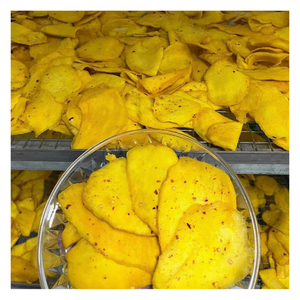Mangues séchées moelleuses du Vietnam pour les marques de snacks, les chaînes de distribution, la distribution alimentaire, l'emballage en marque blanche et l'importation en vrac - Product Image 1