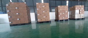 Mezcla Premium Vietnamita 500 Gramos Tueste Medio 60% Robusta 40% Arábica Granos Enteros Empaque en Bolsa ODM OEM - Product Image 6