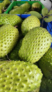 Puré de Guanábana Congelado, el Más Vendido, Pulpa de Fruta Exótica de Vietnam a Granel, Ingrediente para Bebidas, Relleno de Pastelería - Macy - Product Image 4