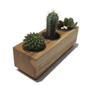 Paquete de Soportes Cuadrados de Madera para Plantas, Mini, Premium, Modernos, Hechos a Mano, Ecológicos, para Bodas y Aniversarios, Venta al Por Mayor a Bajo Precio - Product Image 2
