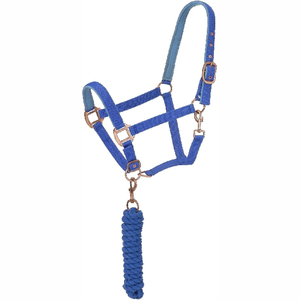 Harnais de cheval en nylon noir avec rembourrage blanc et boucles dorées pour l'équitation et l'entraînement - Product Image 4
