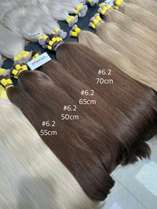 Prix d'usine Extensions de cheveux vierges naturels lisses en vrac 100% vietnamiens Super Double Drawn Colorés # 6.2 # 7 # 8 Longue durée de vie - Product Image 4