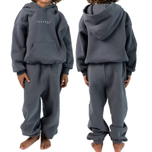 Ensembles de sweats à capuche confortables pour enfants, ensembles de survêtements unisexes pour enfants, vêtements pour enfants toutes tailles, sweats en molleton de coton de qualité supérieure, ensembles de jogging - Product Image 1