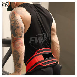 Cinturón de seguridad de alta resistencia para levantamiento de pesas, mancuernas, dominadas, empuje de cadera, dips y peso muerto - Equipo de seguridad para fitness - Product Image 4