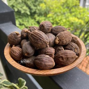 Graines de cardamome noire Ingrédients culinaires essentiels d'herbes à épices simples séchées crues avec des saveurs complexes pour les aventures culinaires - Product Image 2