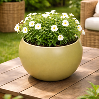 Pot de fleurs en fer mat doré exclusif |   Pot de plante d'intérieur de style ferme pour la maison et le jardin |   Écologique, durable et léger