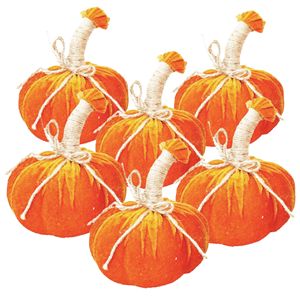 Juego de 6 Adornos de Calabaza '5x7' para Decoración de Halloween, Festividades de Cosecha, Otoño y Acción de Gracias - Product Image 1