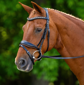 En gros, Bridon et rênes en cuir de cheval fait main de qualité supérieure, durables et confortables, pour l'équitation et l'entraînement, Noir Cob 2x1.5x2m - Product Image 5