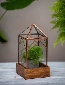 Terrario Pequeño Personalizado de Metal y Vidrio Negro, Macetero Moderno de Vidrio para Plantas de Interior, Suculentas, Plantas Aéreas y Terrarios DIY - Product Image 3