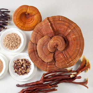 Tranches de champignons Reishi rouge naturel pour faire du thé pour améliorer l'immunité et la qualité du sommeil - Product Image 1